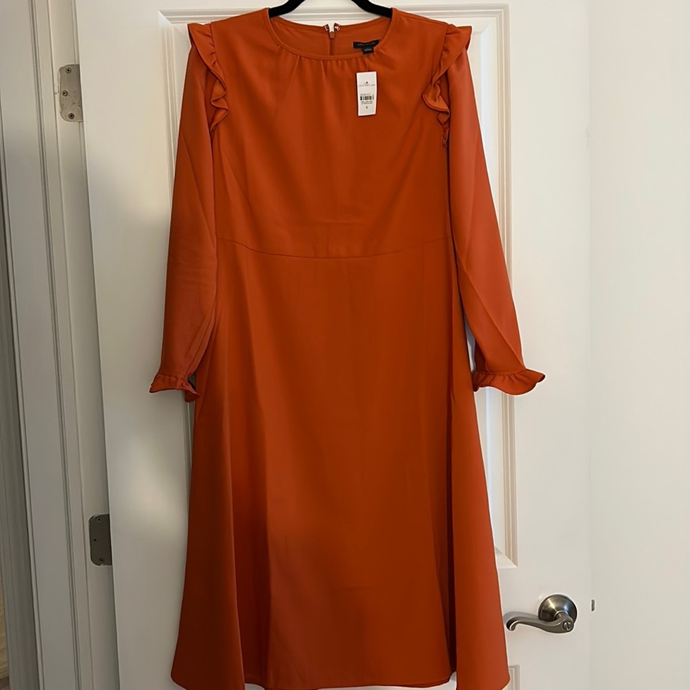 NWT Ann Taylor Ruffle long Sleeve Dress size 6